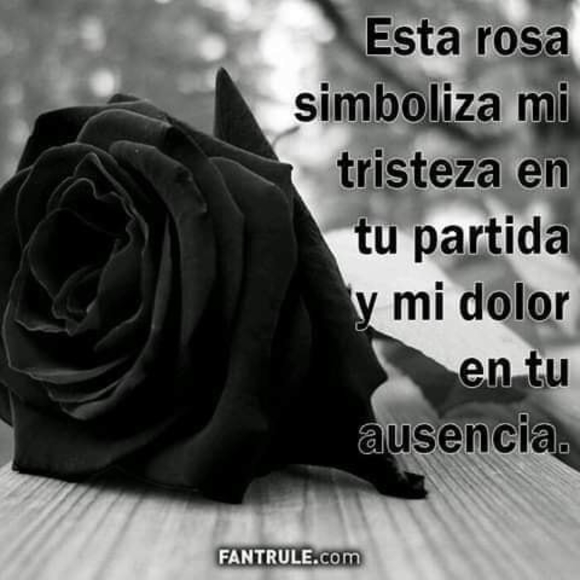 menciasboris